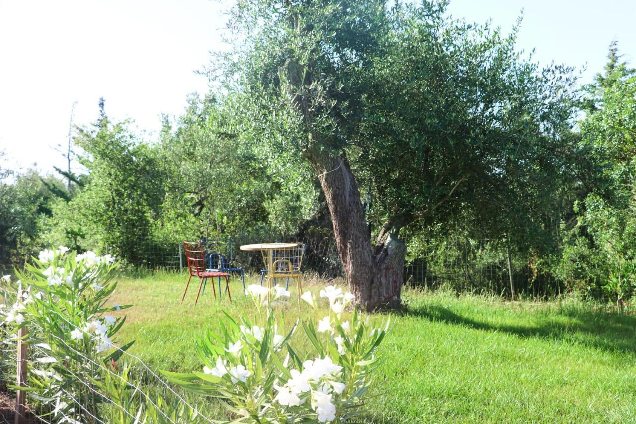 דרמי Essos Villas מראה חיצוני תמונה